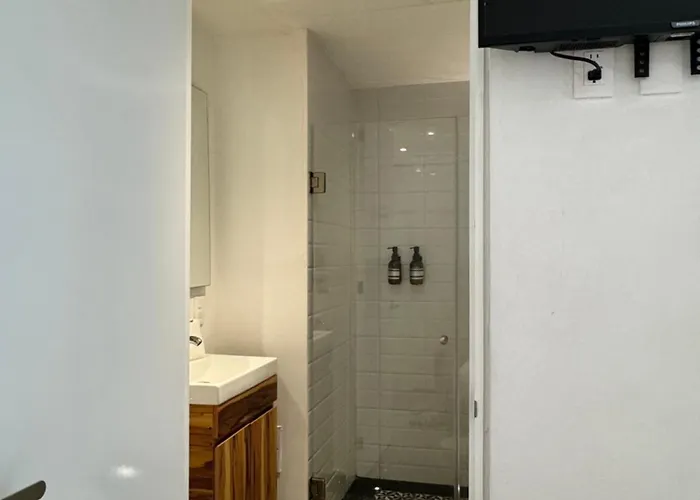 Séjour chez l'habitant Calzolli Penthouse Y Coliving Mexico