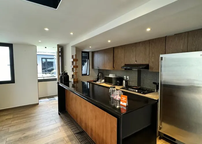 Calzolli Penthouse Y Coliving México DF