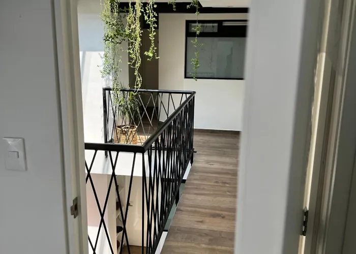 Calzolli Penthouse Y Coliving *
