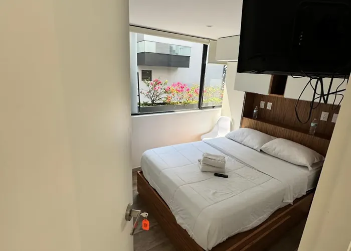 Calzolli Penthouse Y Coliving * México DF